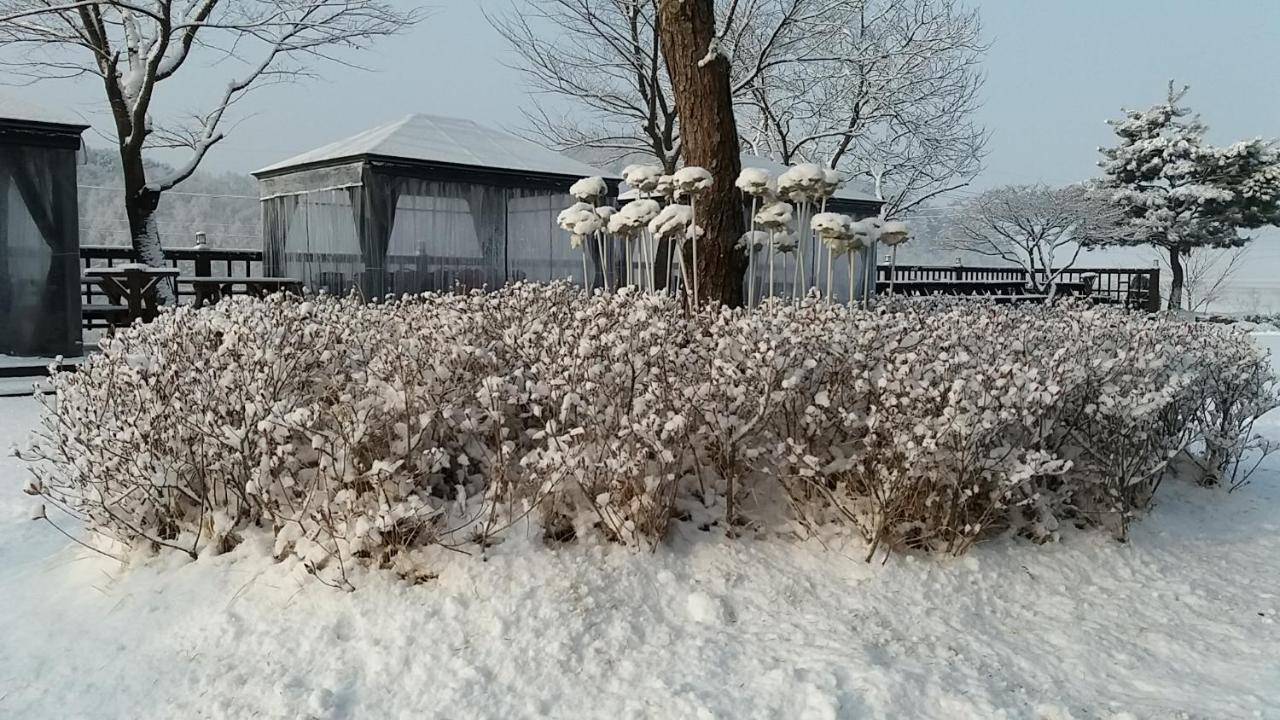 Forest Of Color Pension Hongcheon Extérieur photo